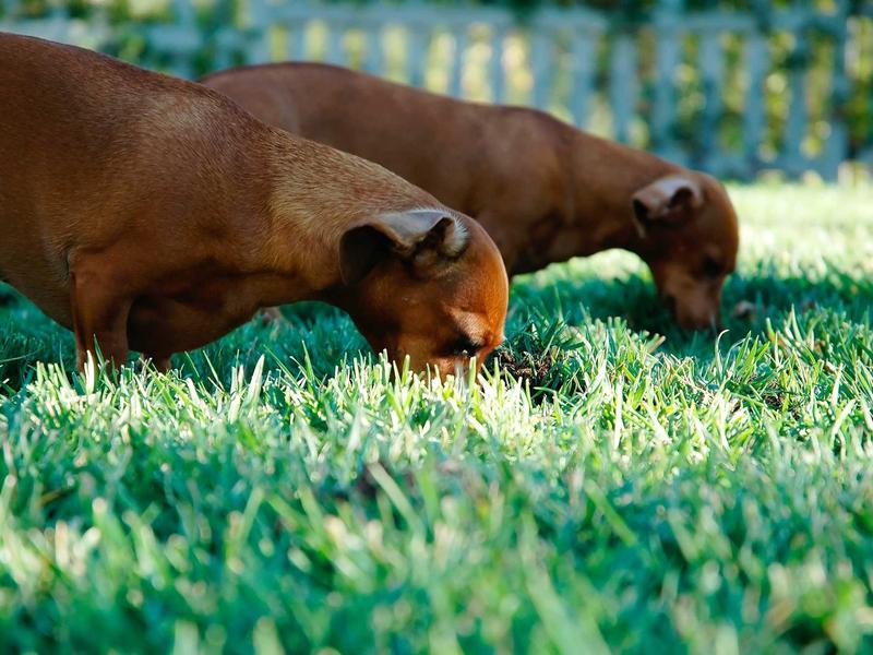 西游记释厄传<br>ujcbtdu.cn 心猿意马驯服